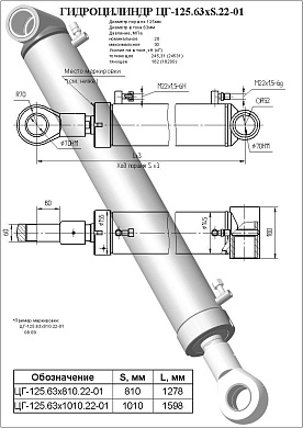Гидроцилиндр ЦГ-125.63х810.22-01