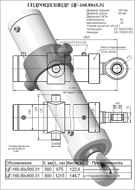 Гидроцилиндр ЦГ-160.80х560.31